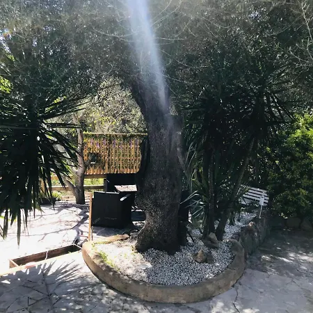Magnifique Avec Piscine Villa Porto-Vecchio (Corsica)