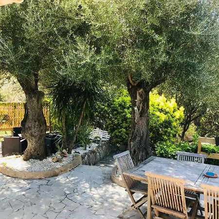 Magnifique Avec Piscine Villa *