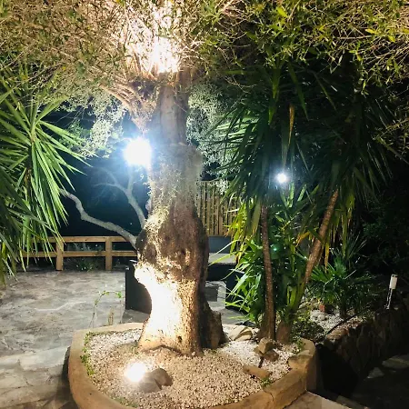 Magnifique Avec Piscine * Porto-Vecchio (Corsica)