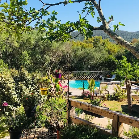 Villa Magnifique Villa Avec Cheminee Porto-Vecchio (Corsica)