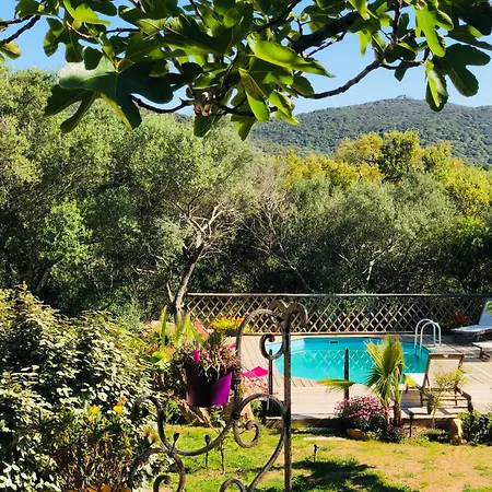 Willa Magnifique Avec Piscine