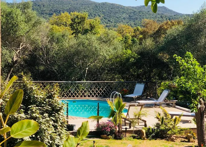 Magnifique Avec Piscine Willa Porto-Vecchio (Corsica)
