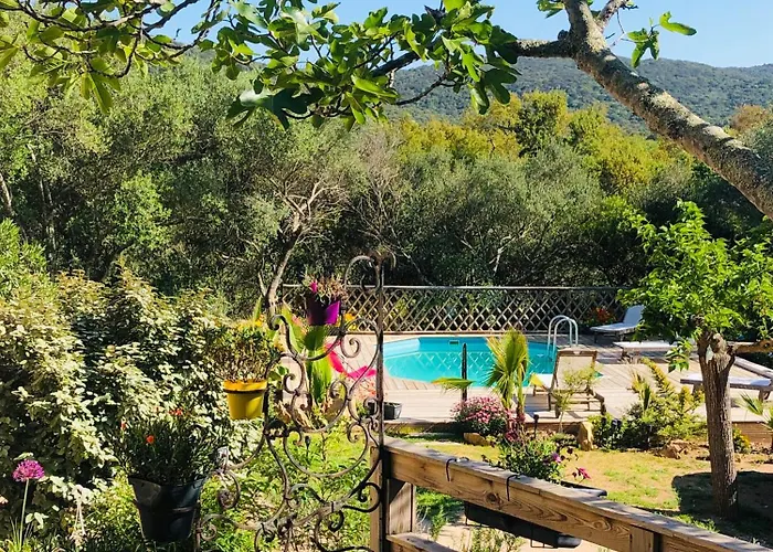 Willa Magnifique Avec Piscine Porto-Vecchio (Corsica)